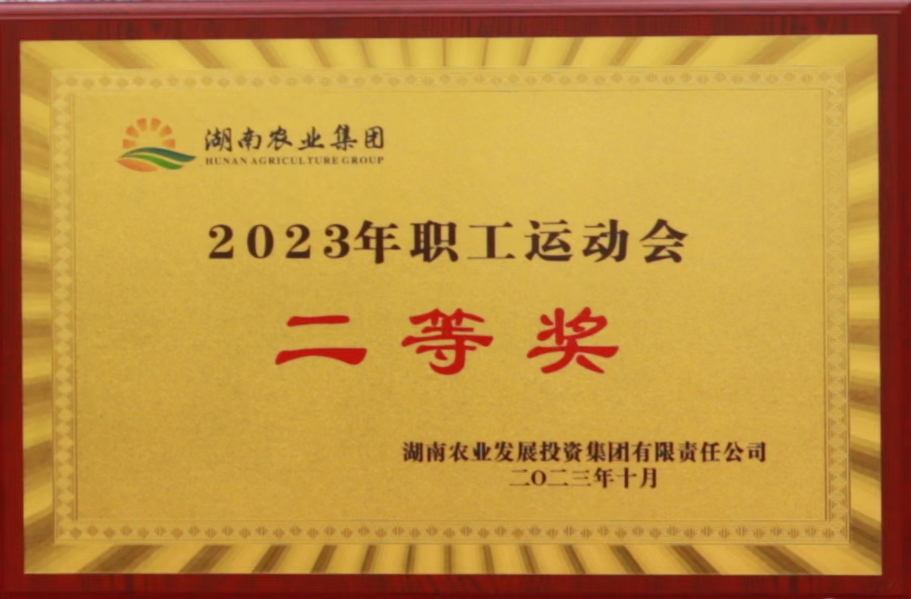 2023職工(gōng)運動會二等獎